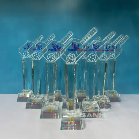 Cúp Pickepall